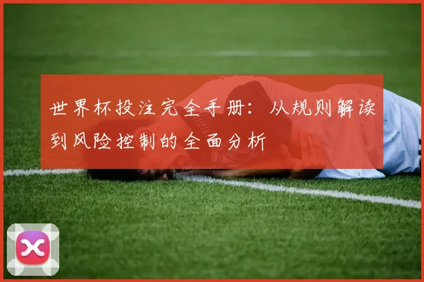 世界杯投注完全手册：从规则解读到风险控制的全面分析