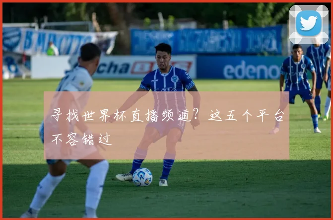 寻找世界杯直播频道？这五个平台不容错过