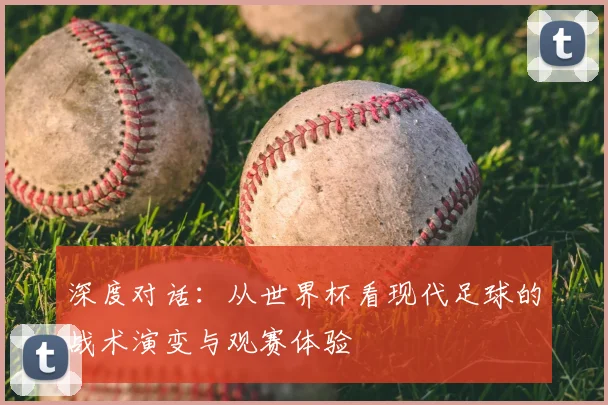 深度对话：从世界杯看现代足球的战术演变与观赛体验