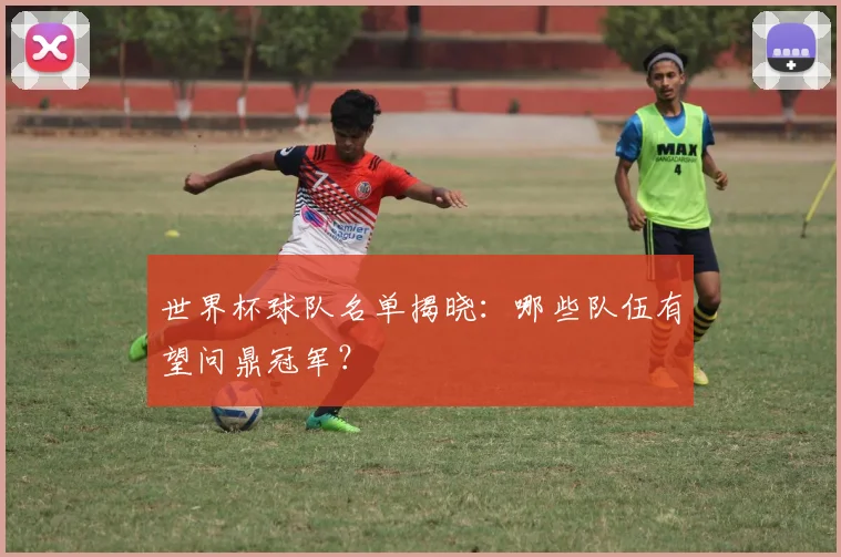 世界杯球队名单揭晓:哪些队伍有望问鼎冠军?