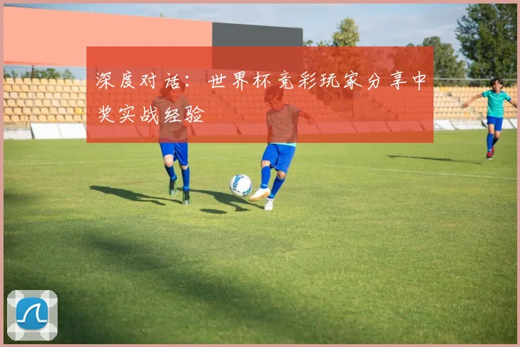 深度对话：世界杯竞彩玩家分享中奖实战经验