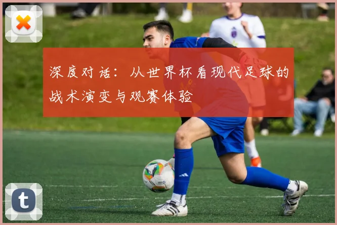 深度对话：从世界杯看现代足球的战术演变与观赛体验