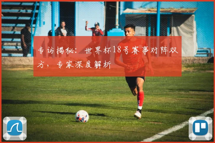 专访揭秘：世界杯18号赛事对阵双方，专家深度解析